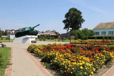 Погода на 10 дней мглин брянской точный