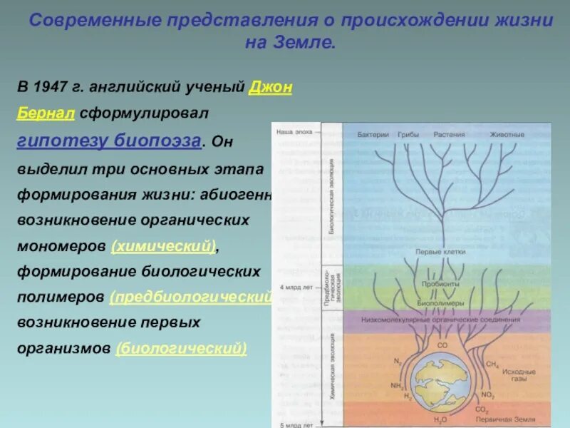 Представления о происхождении жизни. Представления о происхождении жизни на земле. Современные представления о возникновении. Современные представления о возникновении жизни на земле. Условия жизни на земле 9 класс презентация