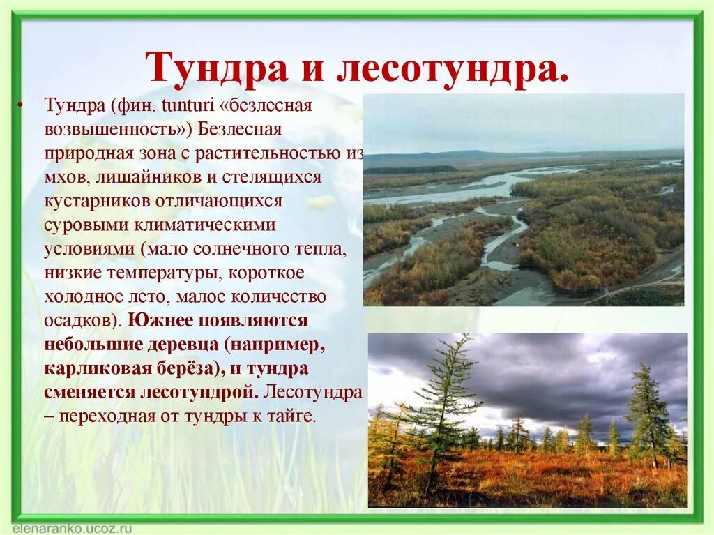 Выберите признаки тундры. Природные зоны тундры и лесотундры. Тундра Безлесная зона. Тундра и лесотундра описание природной зоны. Природные условия тундры и лесотундры.