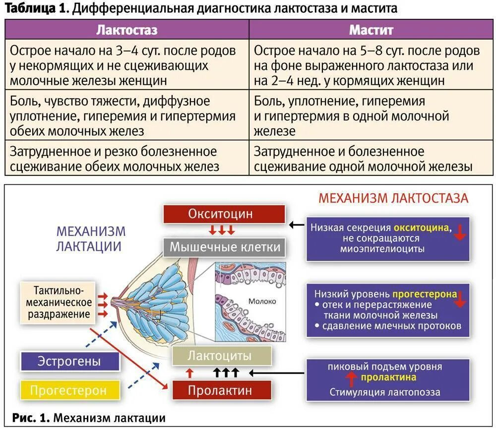 Температура при грудном вскармливании как лечить