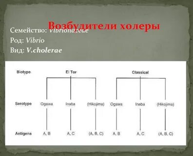 Холера таблица