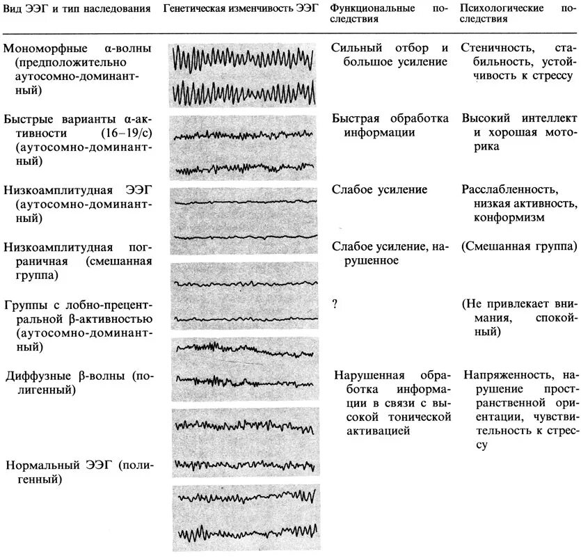 О чем говорит ээг. Десинхронный Тип ЭЭГ бета вариант. ЭЭГ вариант нормы. ЭЭГ типы волн. Варианты заключения ЭЭГ.