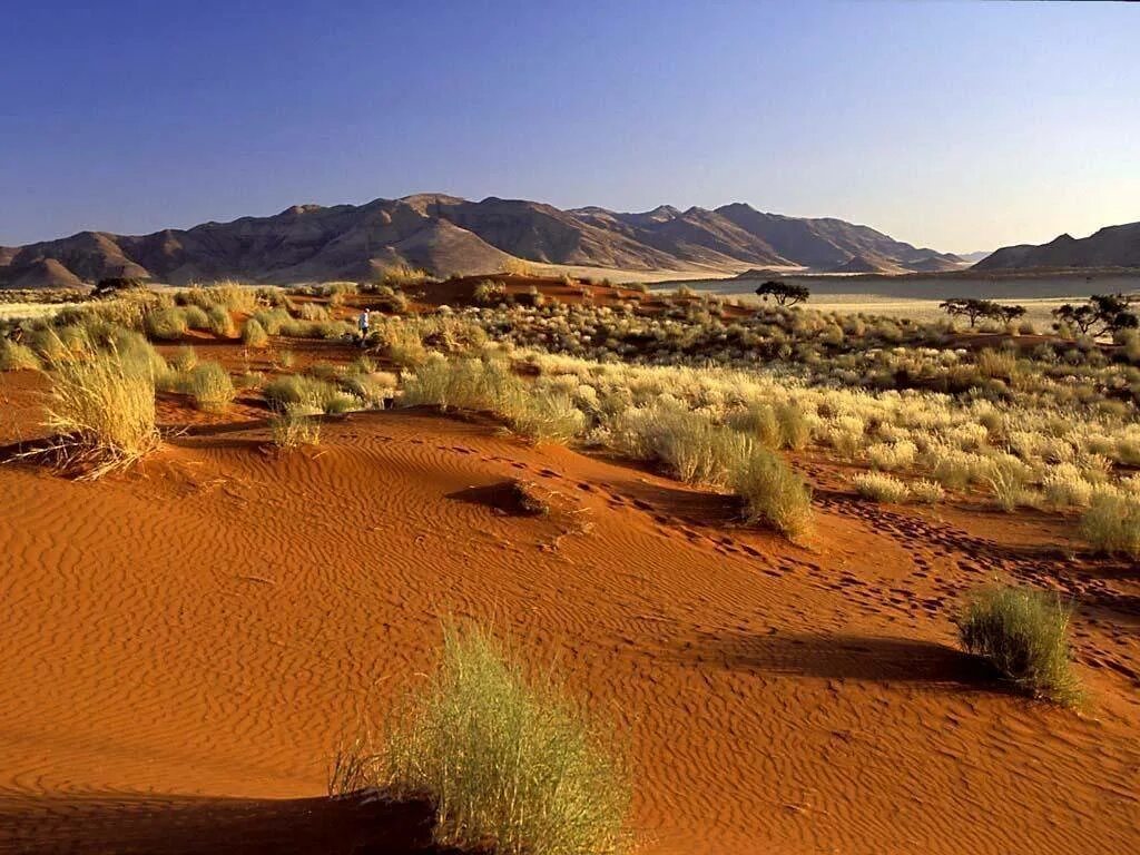 Пустыня умеренного климата. Пустыня умеренного климата. Зона пустынь (полупустыни и пустыни). Зона пустынь (полупустыни и пустыни). Пустыни и полупустыни зима.