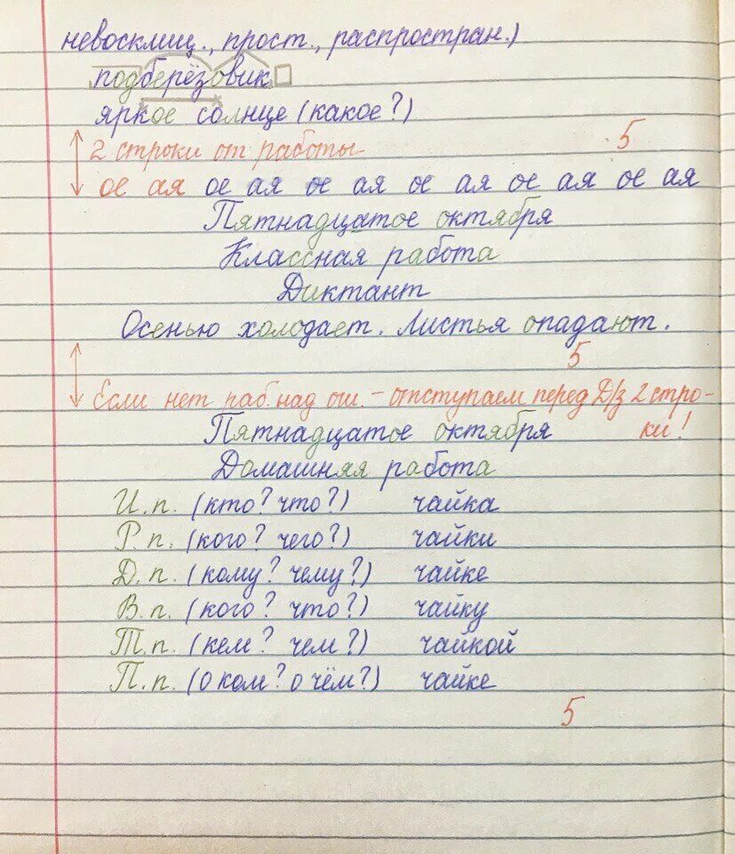 Орфографический режим ведения тетрадей в начальной школе. Оформление работы в тетради по русскому. Оформление работы по русскому в начальной школе. Оформление работ в тетради в начальной школе по русскому. Требования к тетрадям в школе