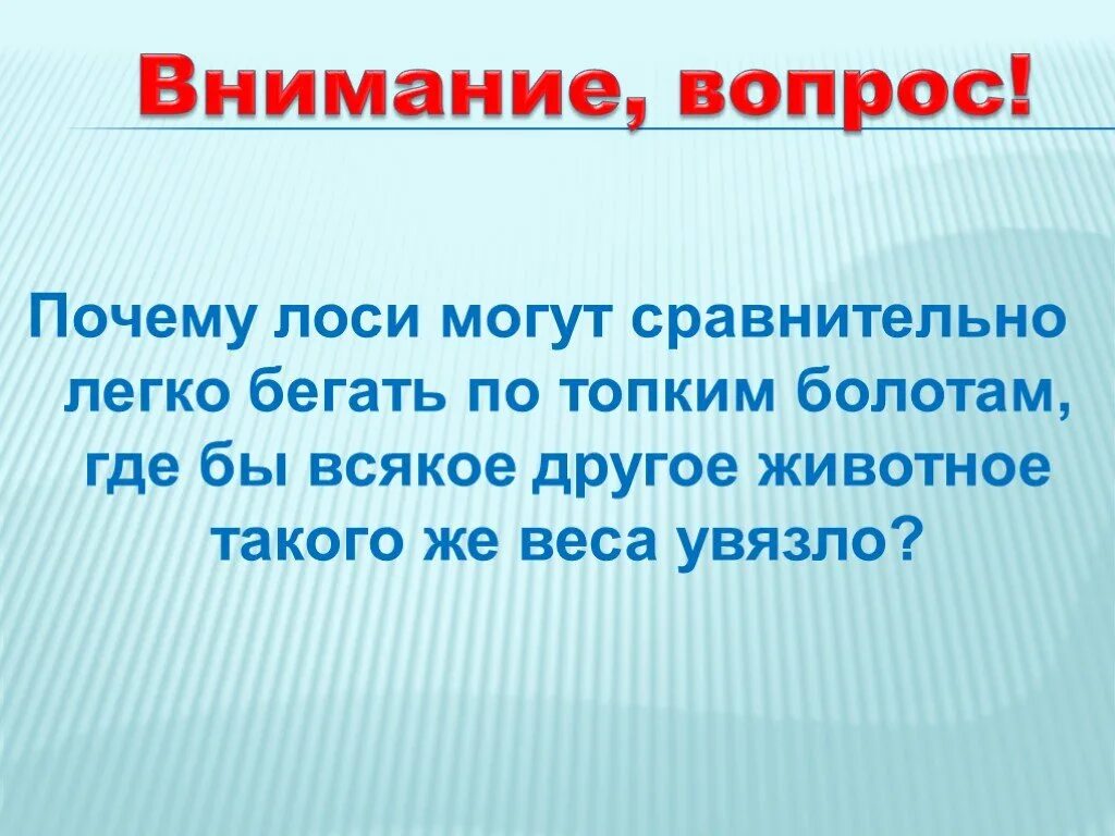 Стадии формирования аддиктивное поведение. Преимущества и недостатки модели максимизации прибыли. Где обитает лось. Почему лоси могут легко бегать по топким болотам. Преимущества прибыли.