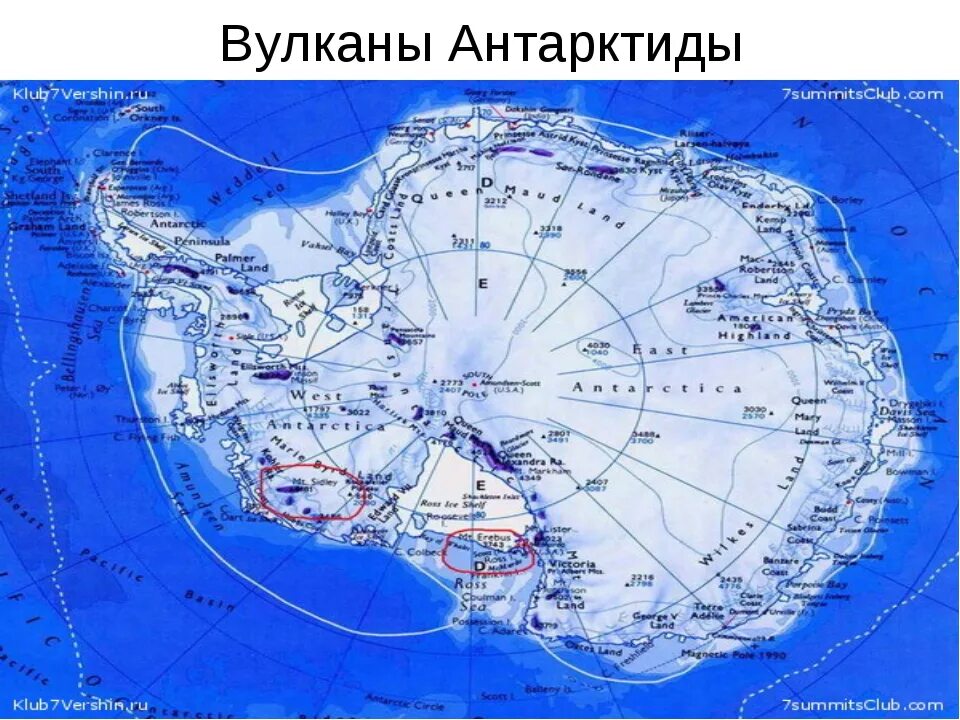 Вулканы Антарктиды на карте. Вулкан Эребус в Антарктиде. Вулкан Эребус на карте Антарктиды. Антарктический мыс Сифре.