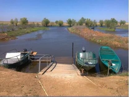 Тишково астраханская