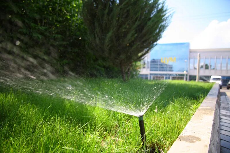 Автополив уфа. Автополив. дождевание растений в городе. автополив migura. автополив в ландшафтном дизайне.