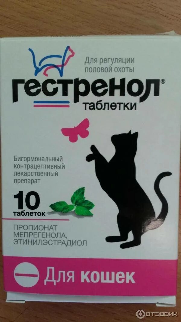 Таблетки для котов отрава. Таблетки для отравления кошек. Препараты для отравления собак. Препараты от отравления для кошек. Отрава для собак в аптеке