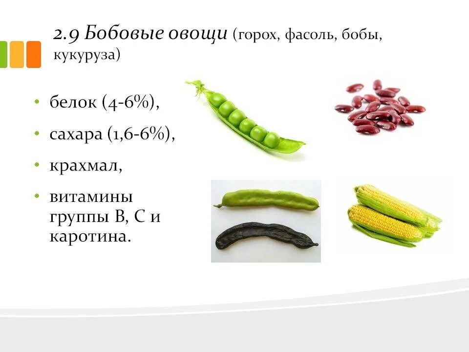 Горох овощ или нет. Бобовые овощи. бобовые овощи список. горох кукуруза фасоль. классификация зернобобовых овощей.