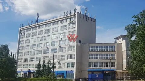 Новгород свободы