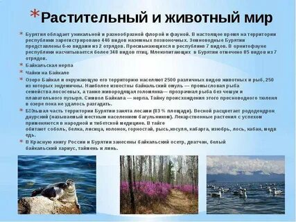 Мир бурятия