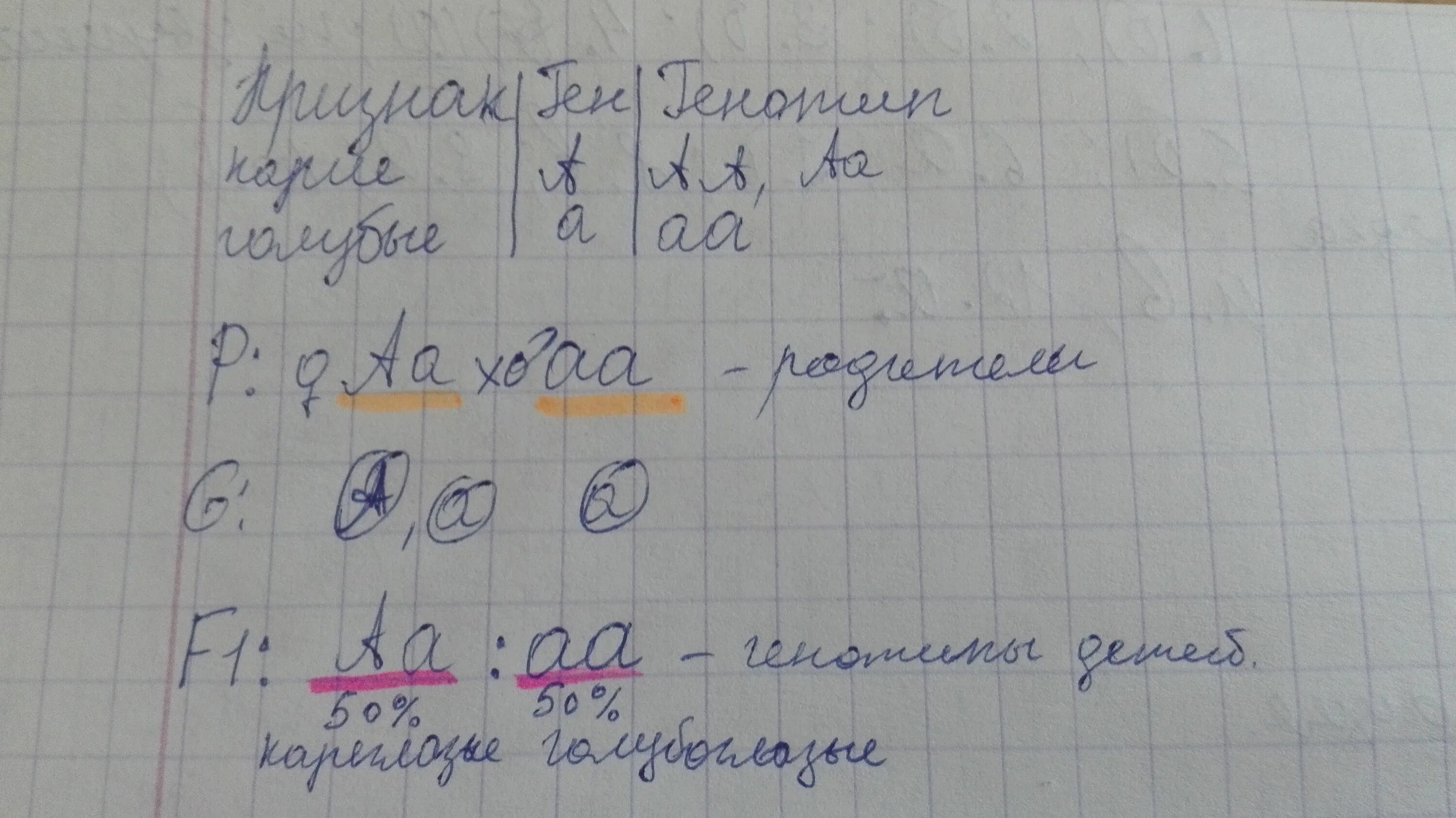 У человека кареглазость доминантный признак. У человека кареглазость доминантный признак в семье из 5 человек. У человека кареглазость доминантный . В семье оба родителя кареглазые. Карие глаза доминантный признак.