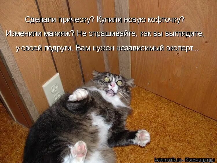 Как будет по кошачьи иди есть
