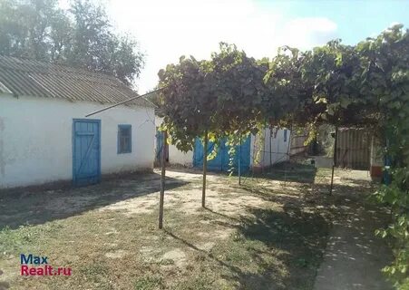Погода советское руно ставропольский край ипатовский