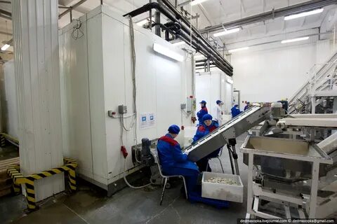 Комбинат полуфабрикатов сибирский