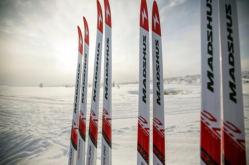 Купить лыжи мадшус. Лыжи Madshus Redline. Madshus Redline 2.0. Лыжи мадшус 2.0. Лыжи мадшус Редлайн 4.0.