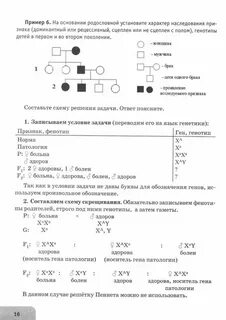 Лабораторная работа по биологии решение генетических задач