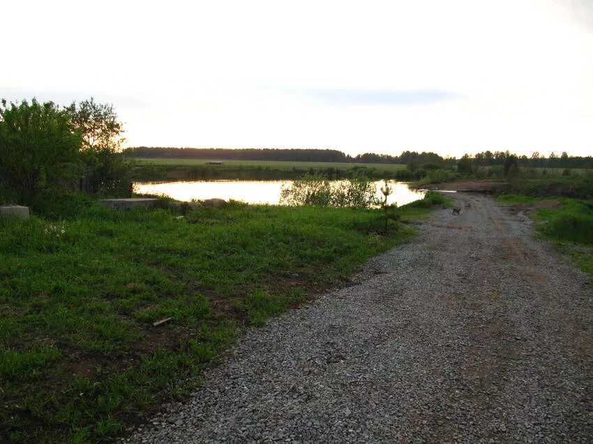 Погода деревня кургане. Погода деревня кургане. Погода в кургане на 10 дней. Погода деревня кургане. Прогноз погоды в кургане на 10 дней.