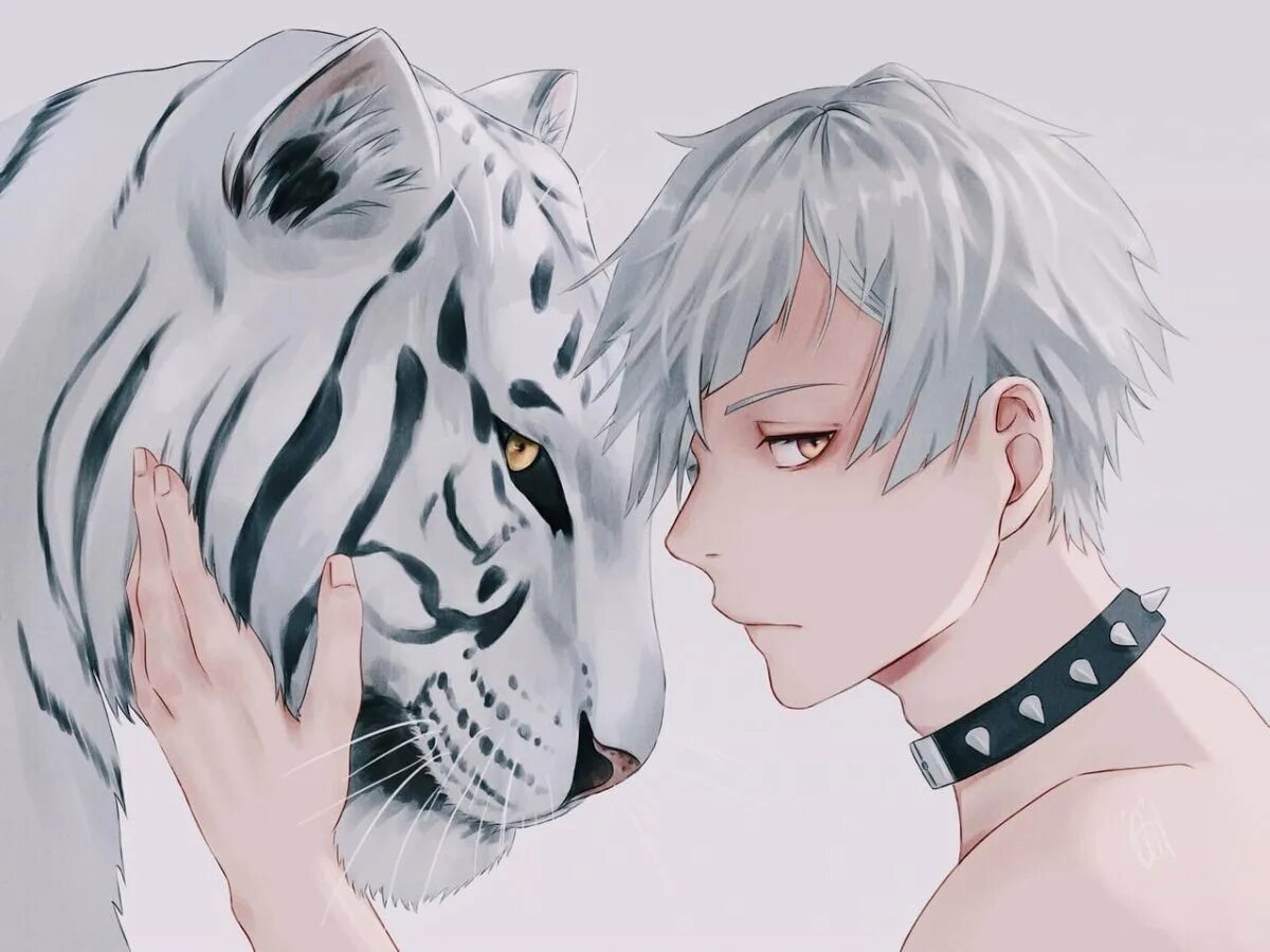 Тигр и собака мужчина. Ацуши Накаджима тигр. Атуши Накажима тигр. Атсуши Накаджима. Бродячие псы Атсуши тигр.