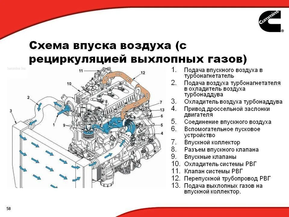 Двигатель всасывает воздух. Впускная система двигателя схема. Камминз схема впуска. Схему система впуска ДВС. Схема система впуска воздуха двигателя.