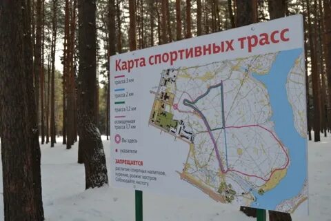 Почевино лыжная трасса