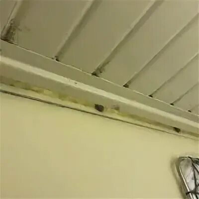 Кисловодск тында 098