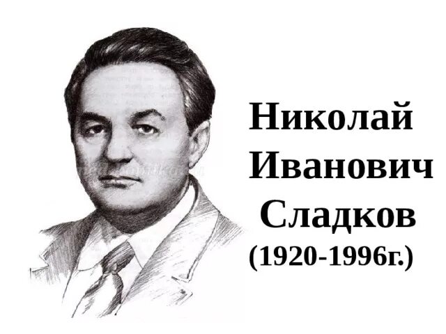 Николай сладков биография фото Презентация к уроку литературного чтения во 2 классе по теме А.Плещеев "Весна",