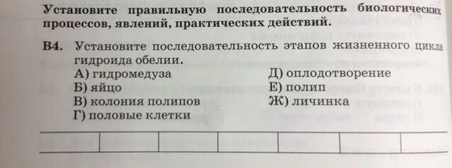 Верная последовательность биологических систем. Последовательность биологических процессов. Установите последовательность биологическ. Последовательность в биологии. Последовательность биологических процессов и явлений.