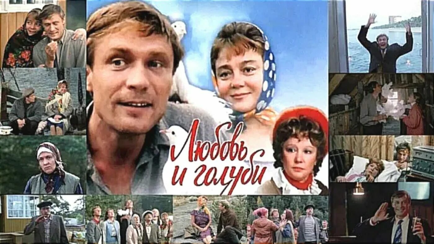 Найти любовь и голуби. Любовь и голуби 1984 кадры.