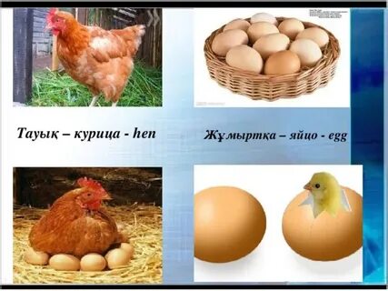 Мен өзбек әйеліне келдім (порно)