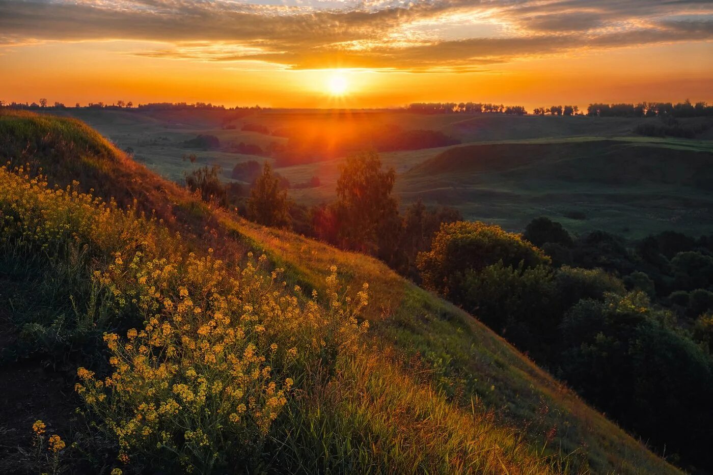 Утренний рассвет. Лето рассвет. Природа вечер закат. Раннее летнее утро. Астрахань степь рассвет.