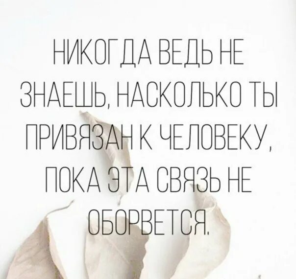 Насколько ты прожил. Никогда ведь не знаешь насколько привязан к человеку. Никогда не знаешь насколько ты привязан к человеку. Никогда ведь не знаешь насколько ты привязан. Никогда не знаешь насколько привязан к человеку пока.