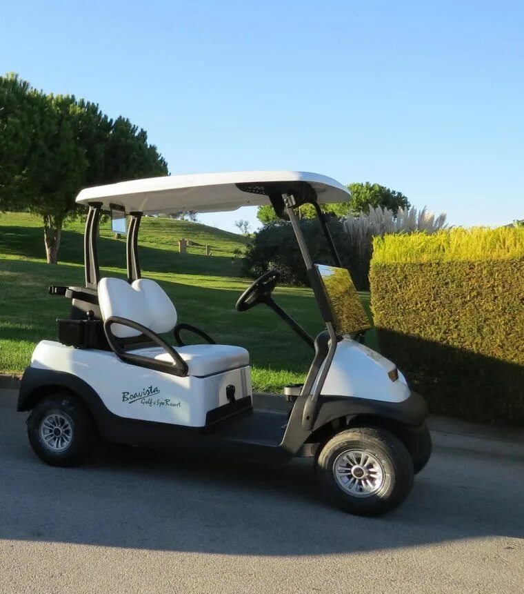 Китайский golf car. Гольф кар маслякова. Гольф кар eruzo city 4. Гольф кар. Yamaha golf car.
