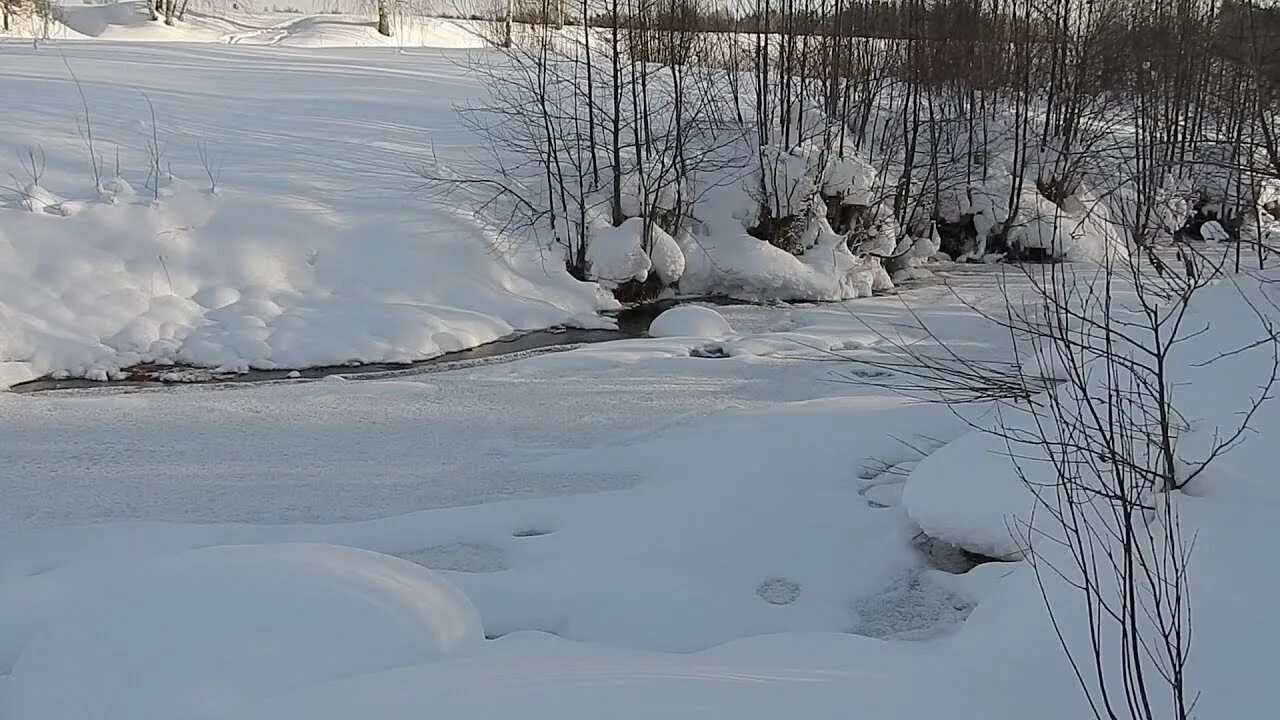 Родник зимой. Родник зима. Родники зимой. Красивый зимний Родник. Родник в зимнем лесу.