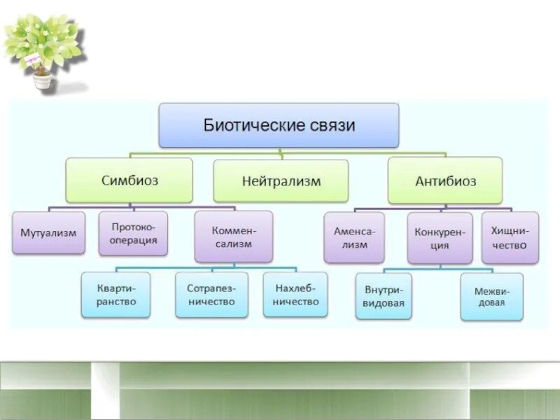 Какие биотические связи. Биотические (формы взаимодействия между организмами). Биотические взаимоотношения схема. Формы межвидовых биотических связей в природе.. Биотические связи в природе схема.