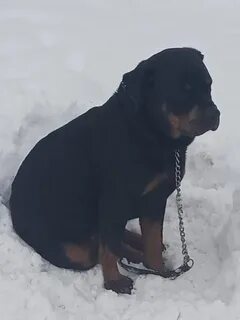 Жду внизу