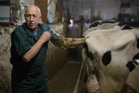 Доктор пол ветеринар на русском языке