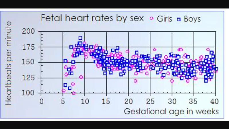 Сердцебиение плода у мальчиков. ЧСС У плода мальчик или девочка. Определить пол ребенка по частоте сердцебиения. Пол ребёнка по таблице сердцебиения. Пол ребёнка по частоте сердечных сокращений.