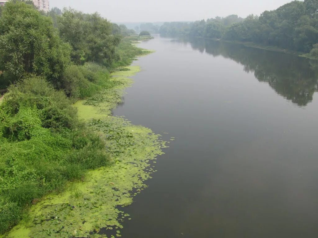 Клязьма орехово зуево. Река клязьма орехово-зуево. речка клязьма орехово зуево. набережная клязьмы в орехово-зуево. река в орехово зуево.
