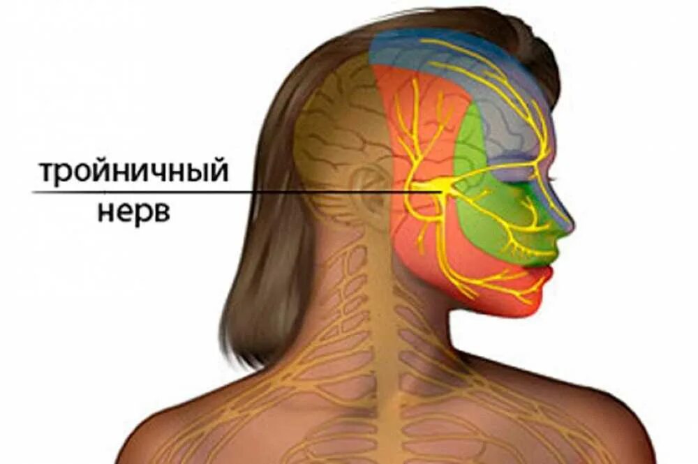 Воспаление тройничного нерва. Тройничный нерв на лице. Воспаление тройничного нерва на лице. Неврит тройничного нерва.