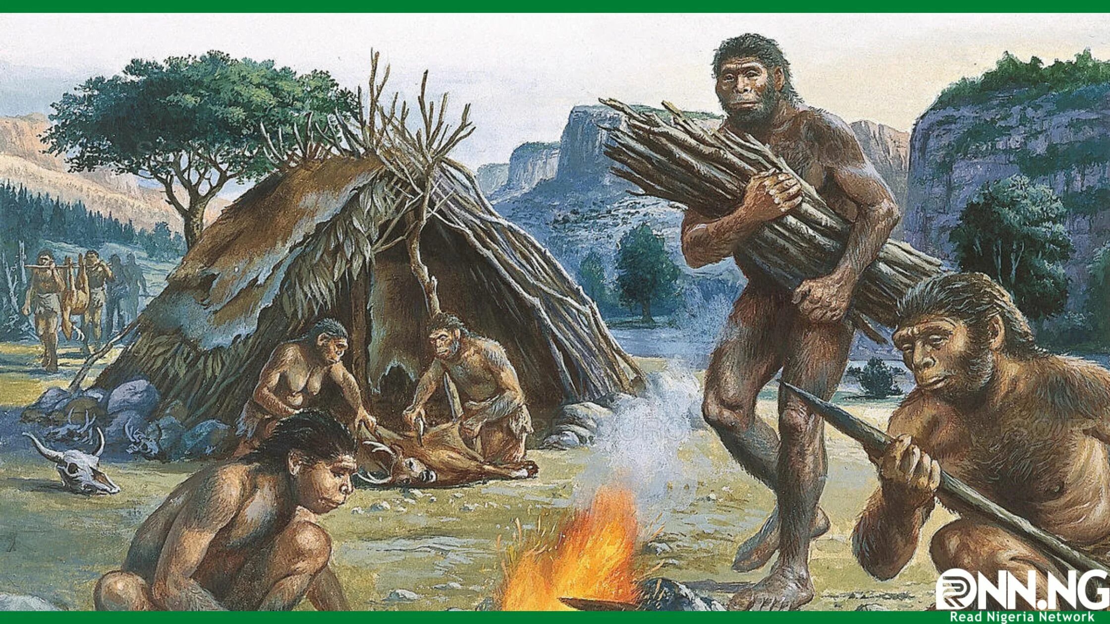 Архантропы (homo Erectus). Питекантроп и архантроп.