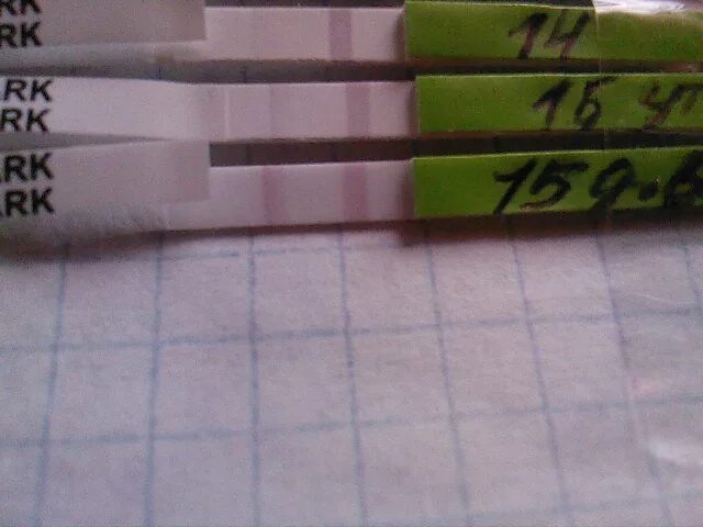 Тесты в 12 2