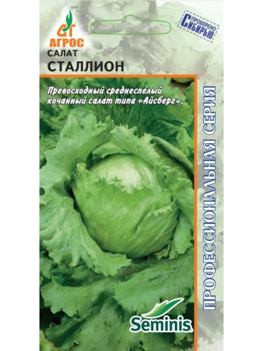 Салат кочанный семена. Салат кочанный Айсберг, 0.5г, 1/20 зи.