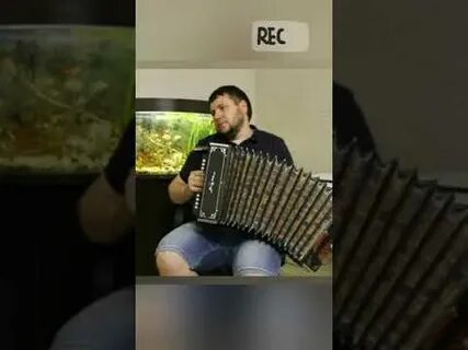Любо разбор