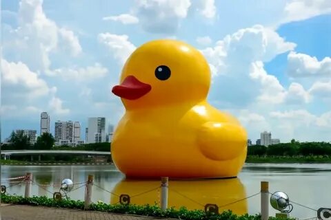Уточка фан фан