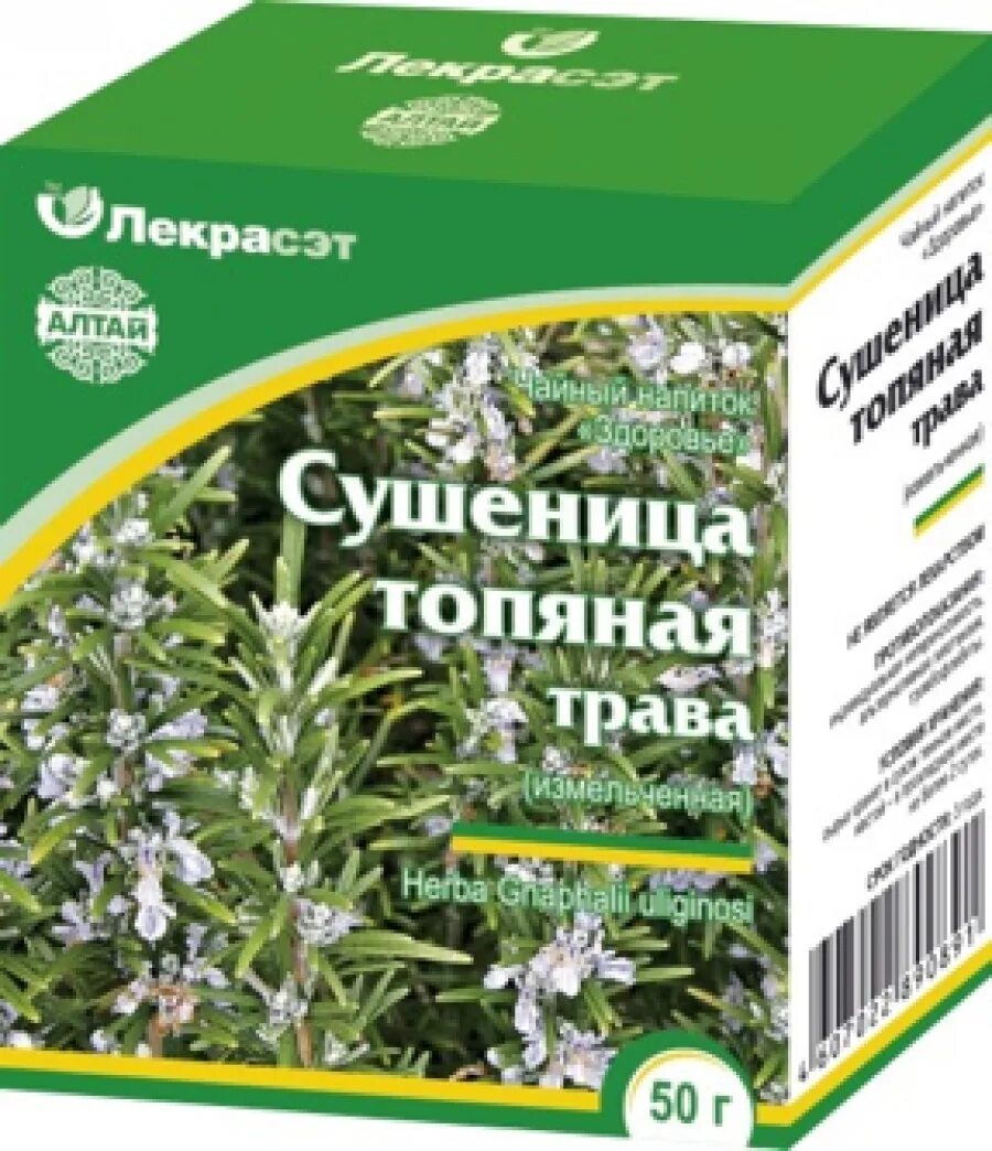 Купить в аптеке от давления. Сушеница топяная. Трава сушеница Болотная. Трава сушеницы топяной препараты. Сушеница топяная (Болотная).