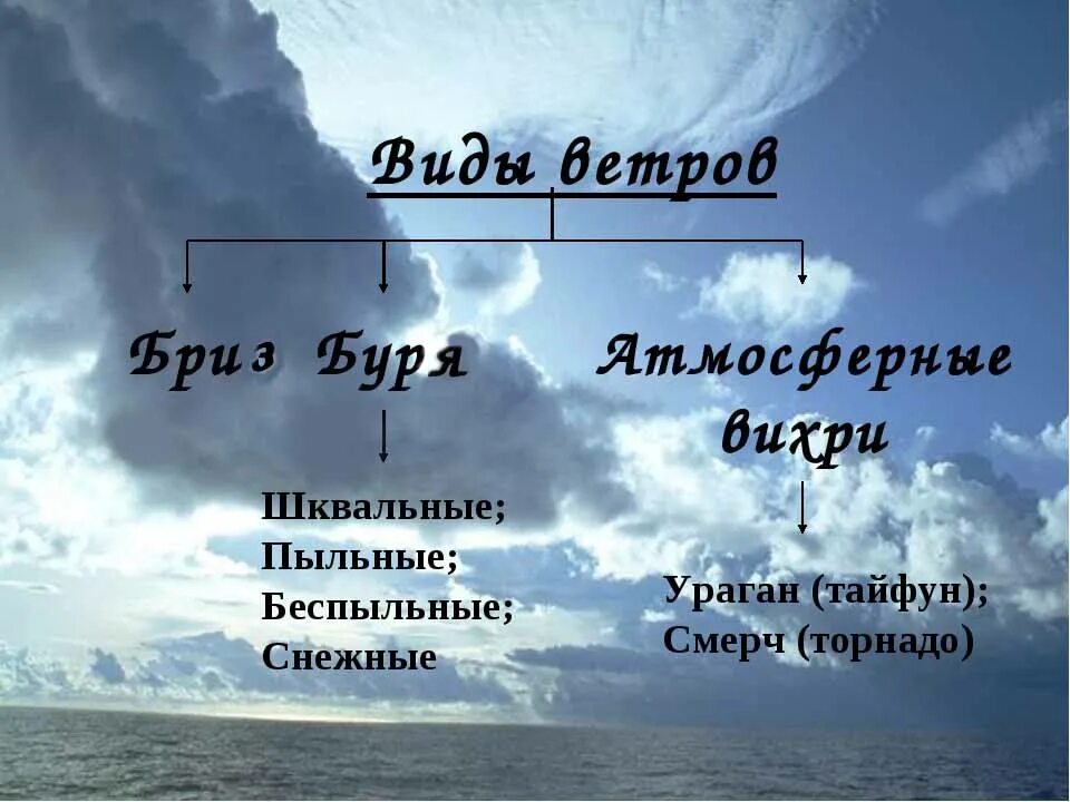 Какие существуют ветры. Виды ветров. Название ветра. Ветры виды география. Какие бывают виды ветров.