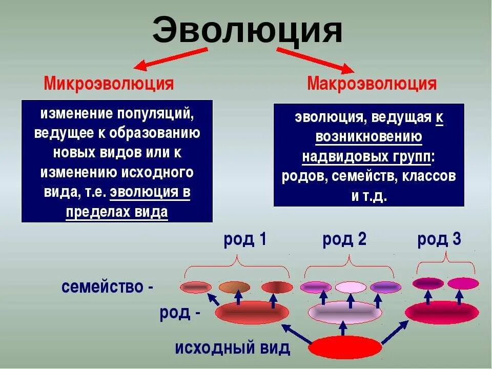 Происходит изменение генофонда