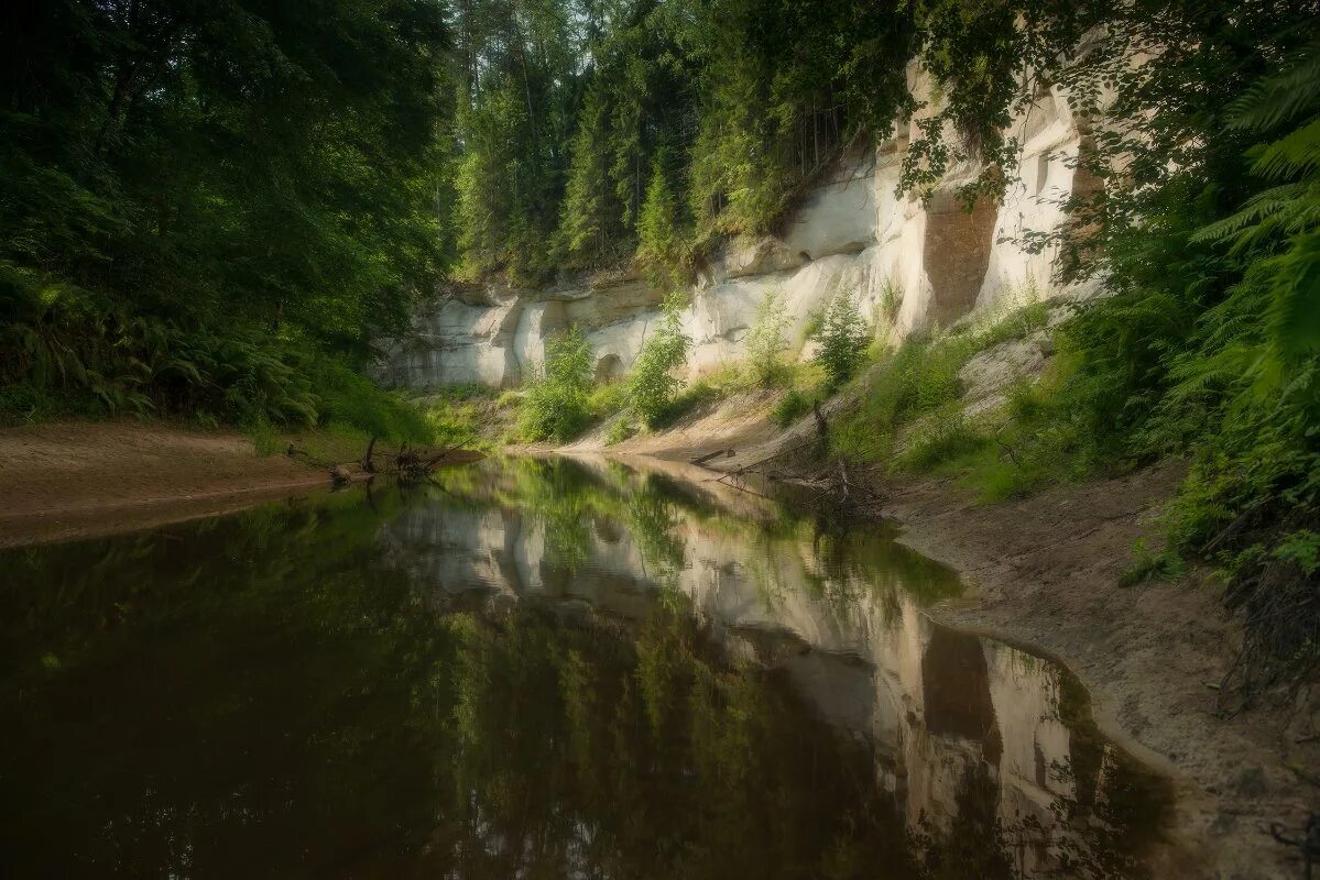 Река ящера. Каньон реки ящера Лужский район. Река ящера Лужский район. Каньон реки ящера. Река ящера Ленинградская область.